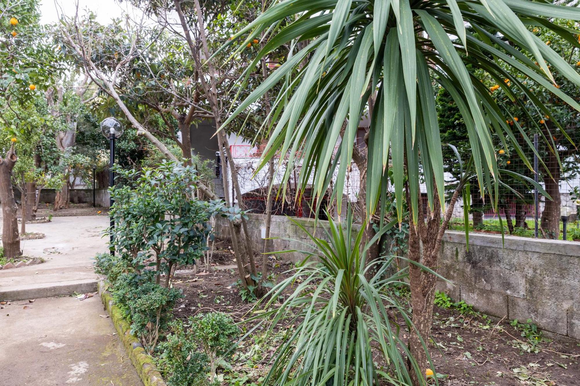 V Harmony In Sorrento Bed & Breakfast Meta Exterior foto
