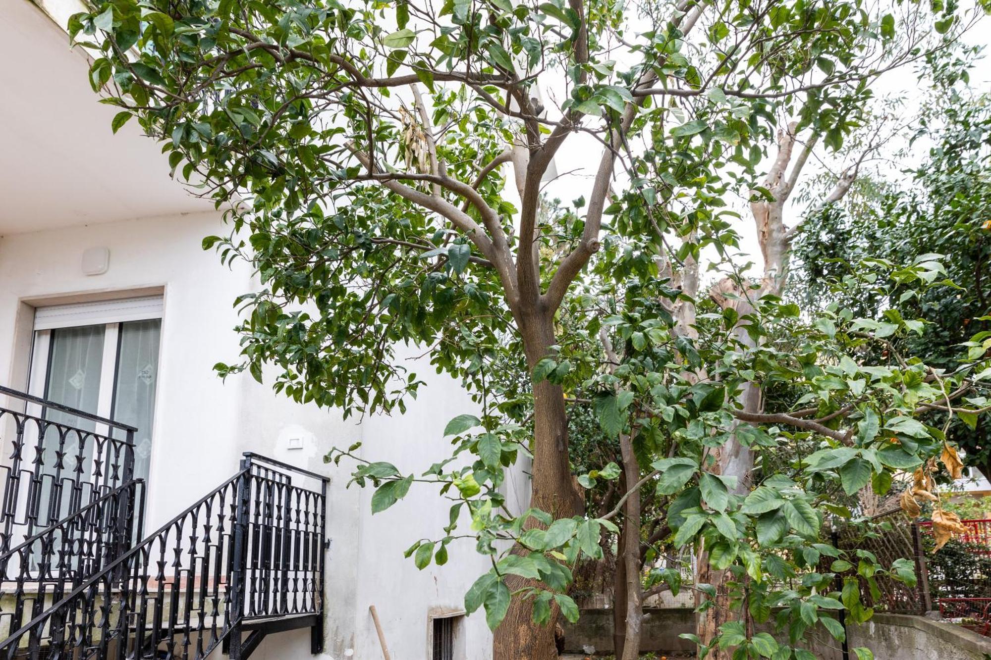 V Harmony In Sorrento Bed & Breakfast Meta Exterior foto